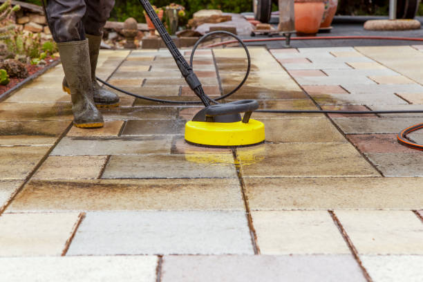Animal Enclosure Cleaning in Fair Oaks, GA